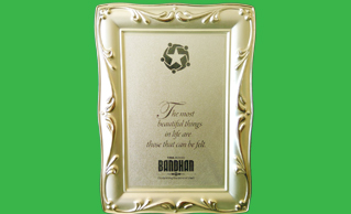TATA MOTORS CONFERRED SAFEXPRESS WITH TATA MOTORS BANDHAN AWARD